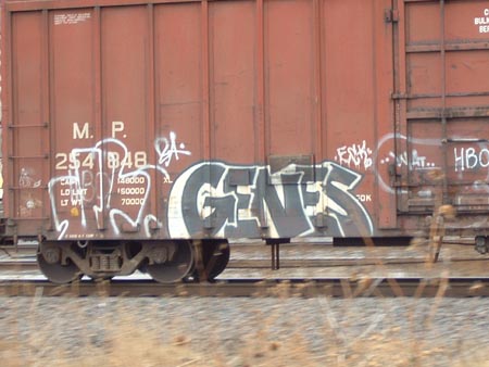 genes