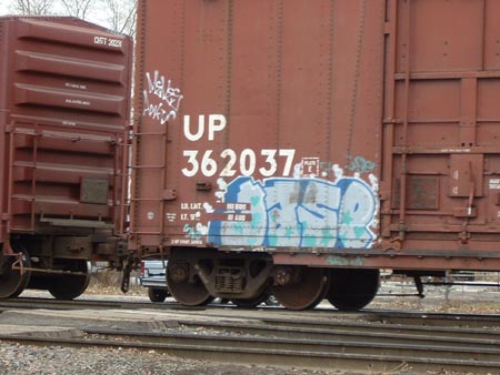 jasp