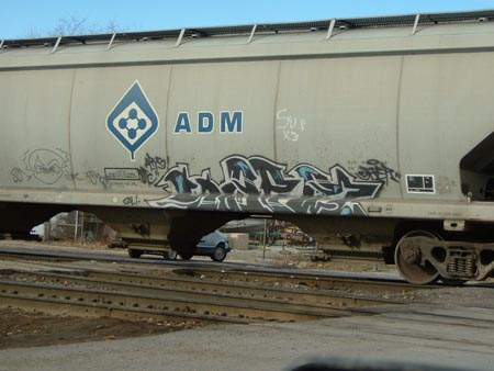 saer