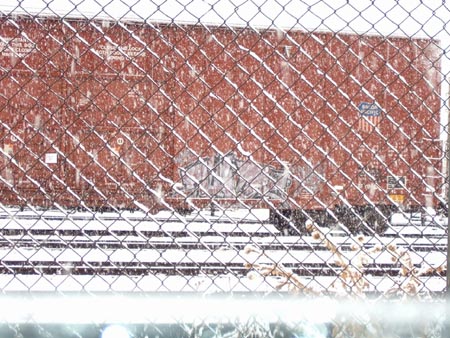 snipesnowy