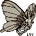Venomoth