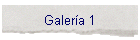 Galer�a 1