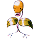 069.gif (1562 bytes)