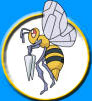 Pok�mon Beedrill