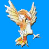 Pok�mon Pidgeotto