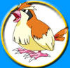 Pok�mon Pidgey