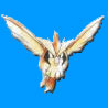 Pok�mon Pidgey