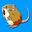 Pok�mon Raticate