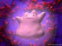 Ditto Wallpaper