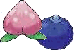A Rawst Berry and an Oran Berry
Both are very common in Hoenn