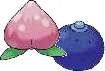 A Rawst Berry and an Oran Berry
Both are very common in Hoenn