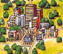 Saffron City