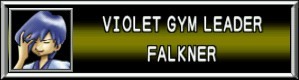 Violet Gym Leader Falkner