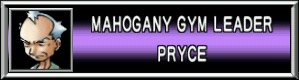 Mahogany Gym Leader Pryce