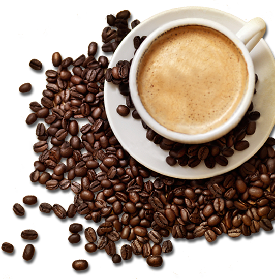 cup