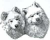 linedrawing.jpg (8669 bytes)