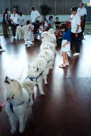puppy6.jpg (7711 bytes)