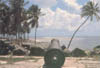 Ilha de Itamarac�