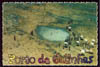 Porto de Galinhas