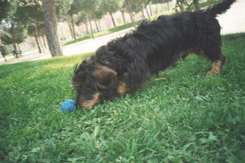 Quiere ser como Beckham