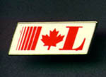 Federal lapel pin