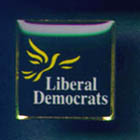 Logo lapel pin