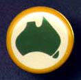 National Party lapel pin