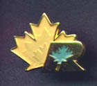 Corporate lapel pin
