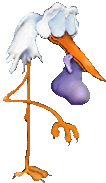 Bashful stork with baby