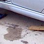 Oil Leak
