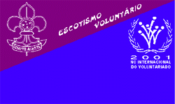 Voltar para Home