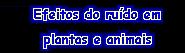 efeitos4.jpg