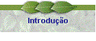 Introdu��o