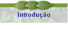Introdu��o