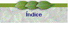 �ndice