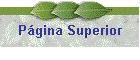P�gina Superior