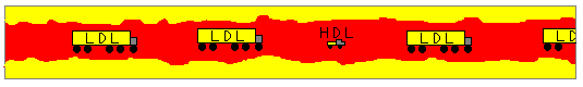 LDL