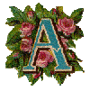 vica.gif (8004 bytes)