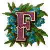 vicf.gif (7686 bytes)