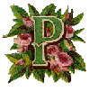 vicp.gif (7952 bytes)