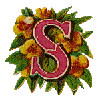 vics.gif (7432 bytes)