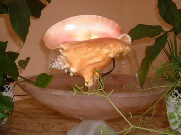 Conch Shell Waterfall