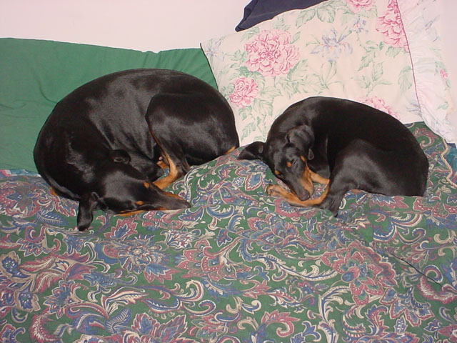 naptime