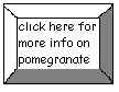 click here for more information on Pomegranate