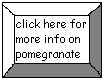 click here to return to information on Pomegranate