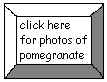 click here to return to Pomegranate photo page