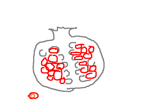 pomegranate doodle
