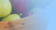 pomme design