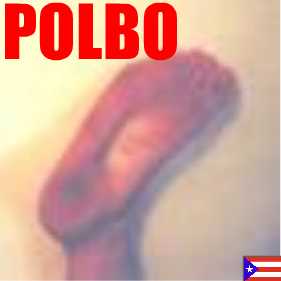 POLBO