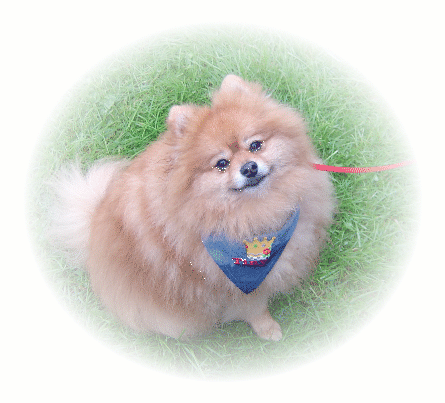 Tiny, always remembered
